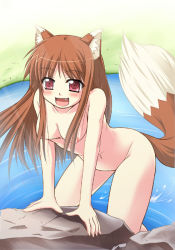 Rule 34 | 00s, animal ears, holo, nude, solo, spice and wolf, tail, tekehiro, wolf ears, wolf tail