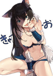 Rule 34 | 1girl, absurdres, alternate costume, animal ears, arm guards, bandaged arm, bandages, bikini, blood, blood on face, blue bikini, breasts, brown hair, cleavage, commentary request, eyes visible through hair, fingernails, fur trim, green eyes, hair between eyes, hand up, head tilt, highres, idolmaster, idolmaster cinderella girls, kemonomimi mode, large breasts, long hair, looking at viewer, open mouth, sharp fingernails, shibuya rin, shiny skin, solo, spread legs, squatting, stomach, swimsuit, tail, translation request, tuxedo de cat