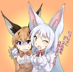 Rule 34 | 10s, 2girls, ;d, animal ears, arm around shoulder, bare shoulders, belt, black hair, blouse, blue eyes, blush, bow, bowtie, caracal (kemono friends), elbow gloves, eyebrows, eyelashes, fox ears, fur trim, gloves, gradient background, hair between eyes, high-waist skirt, highres, jacket, kemono friends, long hair, long sleeves, looking at another, looking at viewer, multicolored background, multicolored hair, multiple girls, oinari-sama (kemono friends), one eye closed, open mouth, orange background, orange bow, orange gloves, orange hair, orange neckwear, orange skirt, pocket, red bow, red neckwear, sakuragi rian, shirt, short hair, skirt, sleeveless, sleeveless shirt, smile, sweat, text focus, thumbs up, tongue, traditional bowtie, translation request, tsurime, turn pale, two-tone hair, uneven eyes, upper body, white belt, white bow, white gloves, white jacket, white shirt, yellow background