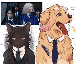 Rule 34 | 2girls, addams family, animal, animal ears, black hair, black sweater, blonde hair, braid, cat, cat ears, cat girl, collared shirt, detached collar, dog, dog ears, dog girl, dsinsects, enid sinclair, long hair, multiple girls, necktie, photo-referenced, photo inset, shirt, sparkle, sweater, teeth, tongue, tongue out, twin braids, twintails, upper body, wednesday (netflix), wednesday addams, white shirt