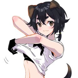 Rule 34 | 1girl, animal ears, arknights, bare shoulders, black gloves, black hair, blush, braid, brown eyes, chomo o12, closed mouth, commentary request, dog ears, dog girl, dog tail, gloves, hair between eyes, highres, jackie (arknights), looking at viewer, shirt, short eyebrows, simple background, single braid, smile, solo, tail, thick eyebrows, undressing, upper body, white background, white shirt