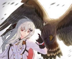Rule 34 | 1girl, animal on arm, artist name, bird, bird on arm, black gloves, breasts, cape, closed mouth, eagle, girls&#039; frontline, gloves, hair ornament, hairclip, highres, iws 2000 (girls&#039; frontline), jacket, long hair, long sleeves, looking at viewer, red eyes, simple background, solo, uniform, unitaka, upper body, white cape, white hair, white jacket, white uniform