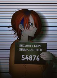 Rule 34 | 1boy, bags under eyes, black eyes, blue hair, closed mouth, from side, frown, hair over one eye, height mark, highres, holding, holding sign, male focus, master detective archives: rain code, mugshot, multicolored hair, oishikunatte shintoujou, orange shirt, prison clothes, prisoner, profile, red hair, shirt, short hair, sign, solo, upper body, yomi hellsmile