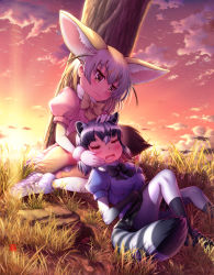 Rule 34 | 10s, 2girls, :3, animal ears, backlighting, black hair, black neckwear, black skirt, blonde hair, blouse, blush, bodystocking, bow, bowtie, breast pocket, closed eyes, closed mouth, common raccoon (kemono friends), drooling, extra ears, fang, feathers, fennec (kemono friends), fox ears, fox tail, full body, fur collar, gloves, grass, grey hair, hair between eyes, hand on another&#039;s head, hand on own cheek, hand on own face, highres, kemono friends, knees up, lap pillow, lens flare, looking at another, lying, medium hair, muchousha, multicolored hair, multiple girls, on back, open mouth, outdoors, pantyhose, pink sweater, pocket, puffy short sleeves, puffy sleeves, raccoon ears, raccoon tail, shirt, short hair, short sleeves, sitting, skirt, sky, sleeping, smile, striped tail, sunset, sweater, tail, thighhighs, tree, tsurime, two-tone hair, white hair, white skirt, yellow neckwear