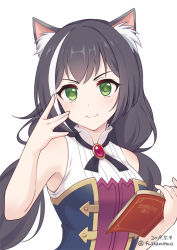 Rule 34 | &gt;:), 1girl, animal ear fluff, animal ears, bad id, bad pixiv id, bare arms, bare shoulders, black hair, black neckwear, blush, book, breasts, closed mouth, dated, fuusha, green eyes, hands up, holding, holding book, karyl (princess connect!), long hair, looking at viewer, low twintails, medium breasts, multicolored hair, open book, princess connect!, shirt, simple background, sleeveless, sleeveless shirt, smile, solo, split mouth, streaked hair, twintails, twitter username, upper body, v-shaped eyebrows, white background, white hair, white shirt