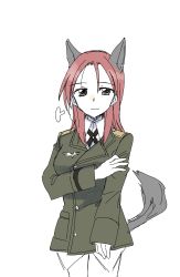 Rule 34 | 1girl, absurdres, animal ears, arm grab, brown eyes, dog ears, dog tail, highres, light smile, long hair, minna-dietlinde wilcke, red eyes, sanpachishiki (gyokusai-jima), sketch, solo, strike witches, tail, uniform, white background, world witches series