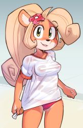Rule 34 | 1girl, ahoge, animal ears, blonde hair, blush, body fur, breasts, clenched hands, coco bandicoot, cowboy shot, crash bandicoot (series), female focus, flower, furry, furry female, gluteal fold, gradient background, green eyes, grey background, hair flower, hair ornament, happy, highres, huge ahoge, jaggy lines, light blush, long hair, looking at viewer, medium breasts, navel, nipples, no bra, panties, parted lips, pink flower, ponytail, red panties, revision, see-through, shirt, shirt tug, short sleeves, simple background, smile, solo, standing, teeth, underwear, wamudraws, wet, wet clothes, wet shirt, white shirt