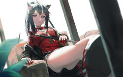 Rule 34 | 1girl, animal ear fluff, animal ears, arknights, black hair, black jacket, black shorts, breasts, collared shirt, crossed legs, foreshortening, gloves, green necktie, highres, holding, holding sword, holding weapon, jacket, long hair, long sleeves, looking at viewer, lucy (rusi-juren328), medium breasts, mouth hold, necktie, official alternate costume, open clothes, open jacket, ponytail, red eyes, red gloves, red shirt, shirt, shorts, simple background, sitting, solo, striped clothes, striped shorts, sword, texas (arknights), texas (willpower) (arknights), thighs, weapon, white background, wolf ears