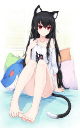 Rule 34 | 1girl, :|, animal ear fluff, animal ears, bare legs, barefoot, bed, bed sheet, blouse, cat ears, cat girl, chinese commentary, closed mouth, commentary request, feet, hair between eyes, highres, indie virtual youtuber, long hair, long shirt, looking at viewer, loungewear, on bed, original, pillow, red eyes, shibanme tekikumo, shirt, sidelocks, single bare shoulder, sitting, solo, stuffed animal, stuffed shark, stuffed toy, tail, toes, virtual youtuber, white shirt, xingye (xing)