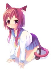 Rule 34 | 1girl, absurdres, all fours, angry, animal ears, blush, cat ears, cat tail, highres, low twintails, namori, original, purple eyes, purple hair, red eyes, red hair, school uniform, serafuku, sheska xue, short hair, skirt, solo, tail, twintails