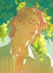 Rule 34 | 1boy, anderain, artist name, bishounen, blonde hair, blue eyes, chain, chain necklace, collarbone, collared shirt, eyelashes, food, fruit, grapes, green shirt, head tilt, jewelry, leaf, looking at object, male focus, medium hair, necklace, open clothes, original, outdoors, parted lips, portrait, shirt