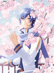 Rule 34 | 1boy, blue coat, blue eyes, blue hair, blue scarf, branch, cherry blossoms, coat, flower, hand on railing, hand up, headset, highres, holding, holding flower, kaito (vocaloid), long sleeves, looking at viewer, male focus, nail polish, nokuhashi, outdoors, petals, railing, scarf, short hair, solo, vocaloid