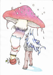 Rule 34 | 1girl, absurdres, animal ears, ball, baseball, blue hair, brown footwear, bug, commentary request, dog ears, doitsuken, from behind, grey footwear, grey shirt, hands on own hips, highres, bug, long hair, mushroom, original, psychedelic, red eyes, scan, shirt, shoes, solo, standing, tennis ball, traditional media, very long hair