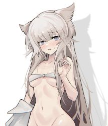 Rule 34 | 1girl, animal ear fluff, arknights, arknights: endfield, bare arms, bare shoulders, bikini, blue eyes, blunt bangs, blush, bottomless, breasts, f(z) (funct10nz), groin, hand up, highres, long hair, looking at viewer, medium breasts, navel, nervous smile, out-of-frame censoring, parted lips, perlica (arknights), silver hair, smile, solo, stomach, strapless, strapless bikini, sweatdrop, swimsuit, underboob, very long hair, white bikini
