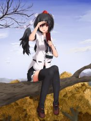 Rule 34 | 1girl, black hair, black thighhighs, black wings, blue sky, camera, cloud, day, female focus, forest, hat, hat ribbon, in tree, looking at viewer, nature, notebook, open mouth, red eyes, remiria100, ribbon, shaded face, shameimaru aya, shirt, short hair, short sleeves, sitting, sitting in tree, skirt, sky, solo, thighhighs, tokin hat, touhou, tree, wings, zettai ryouiki