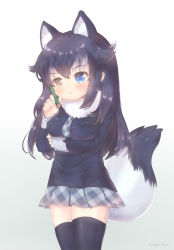 Rule 34 | 10s, 1girl, animal ears, artist name, bad id, bad pixiv id, black hair, black thighhighs, blue eyes, blush, breast rest, breasts, brown eyes, foreign blue, fur collar, gradient background, grey background, grey necktie, grey skirt, grey wolf (kemono friends), head tilt, heterochromia, highres, holding, holding pencil, kemono friends, long sleeves, medium breasts, multicolored hair, necktie, pencil, plaid, plaid necktie, plaid neckwear, plaid skirt, pleated skirt, sidelocks, silver hair, skindentation, skirt, solo, standing, tail, thighhighs, thighs, two-tone hair, white background, wolf ears, wolf tail, zettai ryouiki