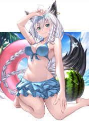 Rule 34 | 1girl, animal ears, arm up, bikini, blue eyes, braid, breasts, cleavage, commentary request, food, fox ears, fox tail, fruit, full body, hair between eyes, highres, hololive, kneeling, long hair, looking at viewer, medium breasts, navel, palm tree, shirakami fubuki, shirakami fubuki (hololive summer 2019), side braid, silver hair, smile, solo, stomach, swimsuit, tail, tazaki hayato, tree, virtual youtuber, watermelon