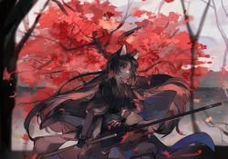 Rule 34 | 1girl, animal ears, apple da-ze, arknights, autumn leaves, black kimono, blurry, blurry background, brown hair, cape, closed mouth, dog ears, elbow gloves, fingerless gloves, from side, full body, gloves, highres, holding, holding weapon, japanese clothes, kimono, leaf, long hair, long sleeves, looking to the side, pants, polearm, red eyes, saga (arknights), serious, sheath, sky, solo, standing, tree, tree shade, unsheathing, weapon, white sky, wind, wind lift