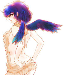 Rule 34 | 1girl, aran sweater, ass, backless dress, backless outfit, bare back, bare shoulders, black hair, black wings, breasts, butt crack, cable knit, dress, feathered wings, halterneck, konpasu, meme attire, microdress, naked sweater, red eyes, shameimaru aya, sideboob, solo, sweater, sweater dress, touhou, virgin killer sweater, watercolor (medium), wings