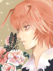 Rule 34 | 1boy, androgynous, antennae, bad id, bad pixiv id, bug, butterfly, close-up, flower, hunter x hunter, insect, j-peg, male focus, pink flower, pink rose, red hair, rose, shaiapouf, short hair, solo, tegaki