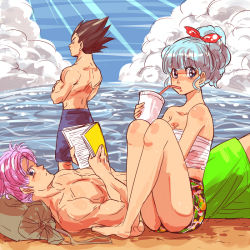 Rule 34 | 1girl, 2boys, back turned, bare legs, bare pectorals, bare shoulders, barefoot, beach, black eyes, black hair, blue eyes, blue hair, book, bra (dragon ball), brother and sister, brothers, cloud, cup, day, dragon ball, drinking, father and daughter, father and son, hair ribbon, looking at viewer, looking away, lying, miiko (drops7), multiple boys, outdoors, pectorals, ponytail, purple hair, reading, ribbon, serious, siblings, sitting, sky, strapless, swimsuit, tank top, trunks (dragon ball), tube top, vegeta