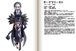Rule 34 | 1girl, chain, character profile, dark priest, kenkou cross, loincloth, monster girl, monster girl encyclopedia, official art, original, partially translated, pointy ears, solo, translation request