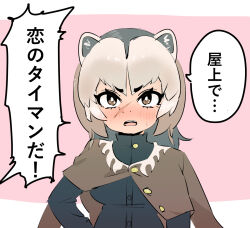 Rule 34 | 1girl, animal ears, arm at side, badger ears, black hair, blush, brown eyes, brown hair, buttons, eyelashes, grey hair, hand on own hip, highres, jacket, jacket on shoulders, kemono friends, long hair, long sleeves, multicolored hair, nose blush, open mouth, parted bangs, scar, scar on face, solo, translation request, upper body, wagom, wolverine (kemono friends)