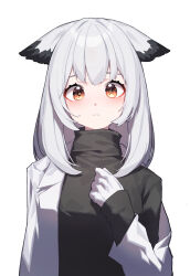 Rule 34 | 1girl, absurdres, arknights, beudelb, black sweater, blush, breasts, coat, gloves, highres, layered sleeves, long sleeves, looking at viewer, medium hair, open clothes, open coat, owl ears, power symbol-shaped pupils, ptilopsis (arknights), simple background, small breasts, solo, straight-on, sweater, symbol-shaped pupils, turtleneck, turtleneck sweater, upper body, white background, white coat, white gloves, white hair, yellow eyes