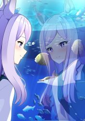 Rule 34 | 1girl, animal, animal ears, aquarium, blue bow, blush, bow, bright pupils, buttons, caustics, closed mouth, commentary request, ear bow, fish, glass, horse ears, horse girl, light rays, long hair, looking at animal, mejiro mcqueen (umamusume), profile, purple eyes, purple hair, reflection, sidelocks, smile, solo, sunny (20597521), umamusume, upper body, water, white pupils