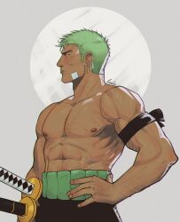 Rule 34 | 1boy, abs, absurdres, bandaid, bandaid on face, black eyes, black pants, circle, earrings, enri (ceinordraws), from side, green hair, grey background, hand on own hip, haramaki, highres, jewelry, looking ahead, male focus, multiple swords, muscular, nipples, one piece, pants, pectorals, roronoa zoro, scar, scar on chest, serious, short hair, single earring, solo, standing, sword, tan, thick arms, topless, topless male, veins, veiny arms, weapon