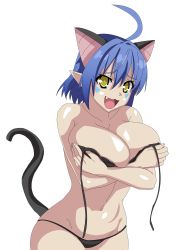 Rule 34 | 10s, 1girl, ahoge, alternate costume, animal ears, artist request, bikini, blue hair, breasts, cat demon girl (shinmai maou no testament burst), cat ears, cat tail, cleavage, covered erect nipples, covering privates, covering breasts, cowboy shot, embarrassed, hair between eyes, hair intakes, highres, horns, large breasts, lowleg, lowleg bikini, navel, shinmai maou no testament, solo, standing, string bikini, swimsuit, tail, underwear, untied bikini, wide hips, yellow eyes