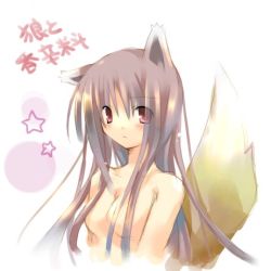 Rule 34 | 00s, holo, jin rikuri, lowres, nude, solo, spice and wolf, tagme