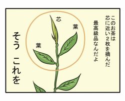 Rule 34 | 10s, comic, love live!, love live! sunshine!!, no humans, plant, shiitake nabe tsukami, simple background, tea leaves, translated