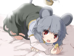 Rule 34 | 1girl, all fours, animal ears, bad id, bad pixiv id, basket, cheese, facing viewer, female focus, food, full body, grey hair, h@ll, halluka, looking at viewer, mouse (animal), mouse ears, mouse tail, nazrin, red eyes, solo, tail, touhou