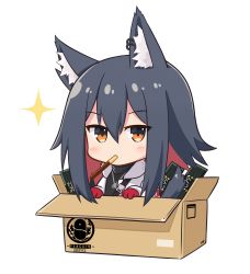 Rule 34 | 1girl, absurdres, animal ear fluff, animal ears, arknights, black hair, black shirt, blush, box, brown eyes, cardboard box, chibi, commentary, earrings, food, food in mouth, gloves, hair between eyes, highres, in box, in container, jacket, jewelry, kitara koichi, long hair, long sleeves, looking at viewer, mouth hold, multicolored hair, official alternate costume, open clothes, open jacket, pendant, penguin logistics logo, pocky, red gloves, red hair, shirt, solo, sparkle, texas (arknights), texas (winter messenger) (arknights), upper body, white jacket, wolf ears