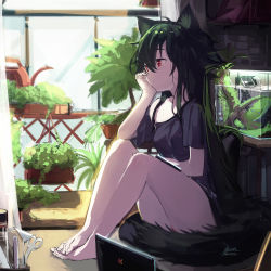 Rule 34 | 1girl, animal ears, aquarium, bare legs, barefoot, black hair, black shirt, breasts, closed mouth, computer, dated, day, ejami, ekko (ejami), fox ears, fox girl, fox tail, hair between eyes, hand on own cheek, hand on own face, indoors, knees up, laptop, long hair, looking afar, looking away, no pants, off shoulder, on floor, original, plant, potted plant, red eyes, scissors, shirt, signature, single bare shoulder, sitting, small breasts, solo, sunlight, tail, very long hair, water, watering can, window