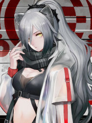 Rule 34 | 1girl, absurdres, animal ears, arknights, black scarf, breasts, cat ears, commentary, crop top, hair over one eye, hand up, highres, ichigatsuai, jacket, long hair, long sleeves, looking at viewer, medium breasts, midriff, navel, open clothes, open jacket, scarf, schwarz (arknights), silver hair, solo, stomach, upper body, white jacket, yellow eyes