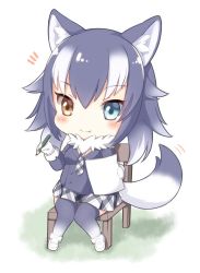 Rule 34 | 10s, 1girl, animal ears, black hair, black jacket, black thighhighs, blue eyes, blush, chair, chibi, fang, fang out, fur collar, gloves, gradient hair, gradient legwear, grey wolf (kemono friends), hair between eyes, heterochromia, holding, holding paper, holding pencil, jacket, kemono friends, knees together feet apart, long sleeves, looking at viewer, matsuu (akiomoi), miniskirt, multicolored clothes, multicolored hair, multicolored legwear, necktie, paper, pencil, plaid, plaid necktie, plaid neckwear, plaid skirt, simple background, sitting, skirt, smile, solo, tail, tail wagging, thighhighs, white background, white footwear, white gloves, white hair, white thighhighs, wolf ears, wolf tail, yellow eyes, zettai ryouiki