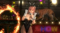 Rule 34 | 1girl, 3d, animal ears, breasts, circus, cleavage, dead or alive, dead or alive 5, detached collar, fake animal ears, female focus, fishnet pantyhose, fishnets, gloves, highres, honoka (doa), large breasts, leotard, looking at viewer, official art, pantyhose, playboy bunny, rabbit ears, side ponytail, smile, solo, tecmo, tiger, wallpaper, wrist cuffs