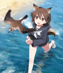 Rule 34 | 10s, 1girl, animal, animal ears, bird, blurry, brave witches, brown eyes, brown hair, day, depth of field, hair ornament, hairclip, jpeg artifacts, karibuchi hikari, most body, open mouth, outdoors, running, school uniform, serafuku, shimada fumikane, shoes, short hair, solo, strike witches, tail, water, world witches series
