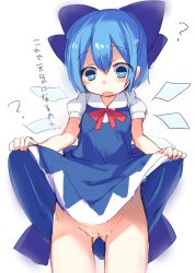 Rule 34 | 1girl, ?, bad id, bad pixiv id, blue eyes, blue hair, bow, cirno, clothes lift, clueless, dress, dress lift, hair bow, matching hair/eyes, no panties, paragasu (parags112), pussy, short hair, simple background, solo, touhou, translation request, white background, wings