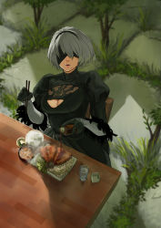 Rule 34 | breasts, chopsticks, cleavage, cleavage cutout, clothing cutout, covered eyes, dress, food, looking at viewer, nier:automata, nier (series), outdoors, sakamoto kengo, silver hair, sitting, solo, table, wooden table, 2b (nier:automata)
