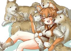 Rule 34 | 10s, 1girl, afterimage, animal ears, blush, collared shirt, commentary request, dog, dog (shiba inu) (kemono friends), dog ears, elbow gloves, fang, fur trim, gloves, harness, kemono friends, light brown hair, multicolored hair, necktie, open mouth, shirt, shoes, short hair, short sleeves, shorts, sitting, sneakers, socks, tail, tail wagging, tikano, white hair