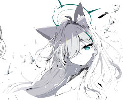 Rule 34 | 1girl, :/, ahoge, animal ear fluff, animal ears, ayahosiyuki, blue archive, blue eyes, blue halo, breasts, cleavage, closed mouth, cropped torso, dot nose, expressionless, floating, glass shards, greyscale, hair intakes, hair over one eye, halo, hatching (texture), linear hatching, long hair, looking at viewer, monochrome, shiroko (blue archive), shiroko terror (blue archive), sidelocks, solo, spot color, wolf ears, wolf girl
