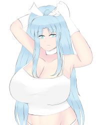 Rule 34 | 1girl, aqua hair, bad id, bad pixiv id, breasts, cleavage, closed mouth, collar, estherelaitea, gloves, golden sun, hair ornament, hair ribbon, highres, long hair, mia (golden sun), ponytail, ribbon, solo, tank top, white gloves, wide ponytail