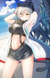 Rule 34 | 1girl, animal ears, arknights, arms up, black scarf, black shorts, blue sky, blush, breasts, cat ears, cat tail, cloud, commentary, cowboy shot, crop top, day, hair between eyes, highres, iroe yuu, jacket, long hair, long sleeves, looking at viewer, medium breasts, midriff, navel, open clothes, open jacket, outdoors, parted lips, scarf, schwarz (arknights), short shorts, shorts, silver hair, sky, solo, standing, stomach, tail, water, white jacket, yellow eyes