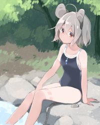 Rule 34 | 1girl, akagashi hagane, animal, animal ears, competition school swimsuit, day, grey hair, hair between eyes, jewelry, mouse (animal), mouse ears, mouse tail, nazrin, one-piece swimsuit, outdoors, pendant, red eyes, school swimsuit, short hair, sitting, soaking feet, solo, swimsuit, tail, tan, tanline, touhou