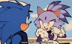 1boy 1girl animal_ears blaze_the_cat blue_sky blush cat_ears cat_girl english_text facial_mark forehead_mark fur_trim furry furry_female furry_male gloves hashtag-only_commentary highres looking_at_another meme official_alternate_costume sky smile sonic_(series) sonic_the_hedgehog spidercheetos the_murder_of_sonic_the_hedgehog yellow_eyes you&#039;re_stupid._i_like_that_in_a_man_(meme)