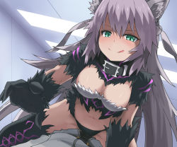 Rule 34 | 1boy, 1girl, animal ears, atalanta (fate), atalanta alter (fate), belt collar, black panties, black thighhighs, breasts, cat ears, cleavage, collar, fate/apocrypha, fate/grand order, fate (series), fur, girl on top, gloves, green eyes, grey hair, indoors, licking lips, long hair, medium breasts, navel, panties, route1911, solo focus, thighhighs, tongue, tongue out, underwear, very long hair