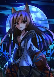 Rule 34 | 1girl, animal ears, breasts, brooch, brown eyes, brown hair, cleavage, cloud, collarbone, full moon, grass, imaizumi kagerou, janne cherry, jewelry, long hair, long sleeves, looking at viewer, moon, moonlight, night, night sky, seiza, shirt, sitting, sketch, skirt, sky, sleeves past wrists, smile, solo, star (sky), touhou, white shirt, wolf ears